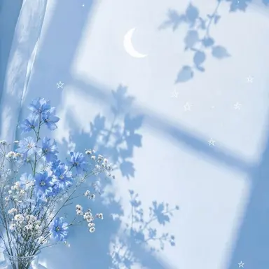 Profile image of 다이치