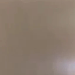 矢花黎