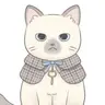 Profile image of 테리