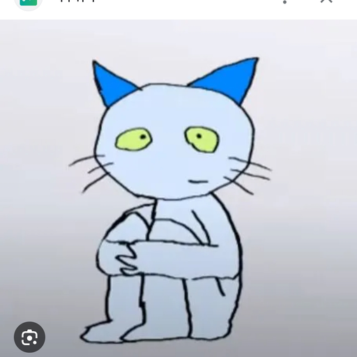 고양이 티치군 대표 이미지