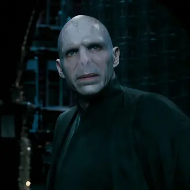 Profile image of Lord Voldemort