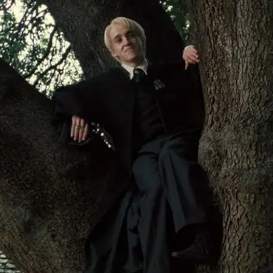 Profile image of Draco malfoy