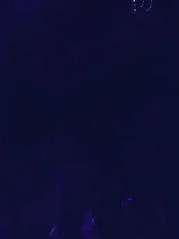 lui_lui_의 入る部屋間違えた