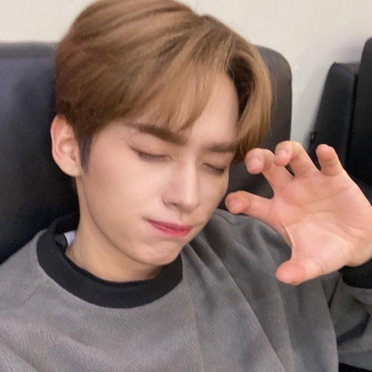 이민호 (스키즈 리노)