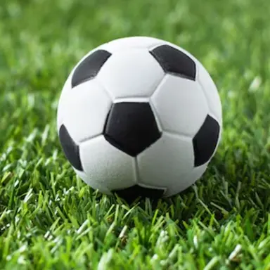 Profile image of 유럽 예선