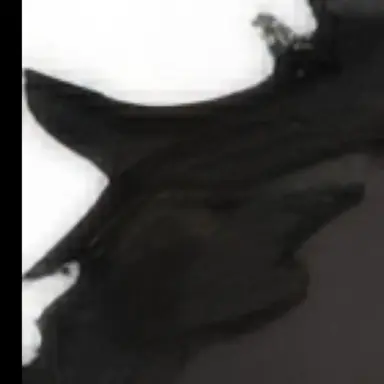 Profile image of M.C