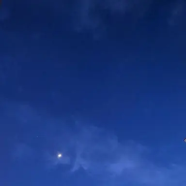 Profile image of 파이브