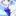 可愛い美女との海水浴