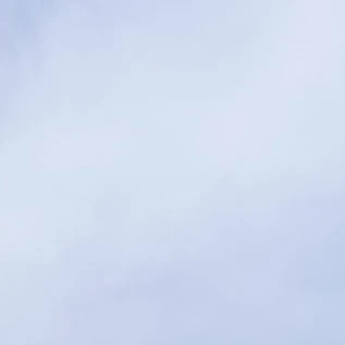 김여우