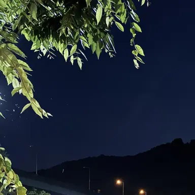 Profile image of 다니엘