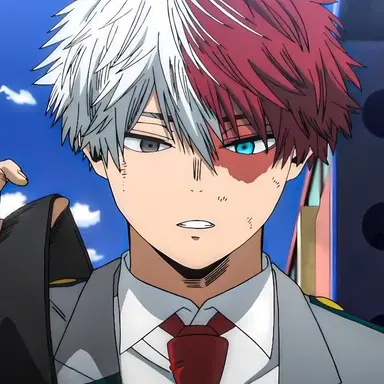 Profile image of Shoto Todoroki