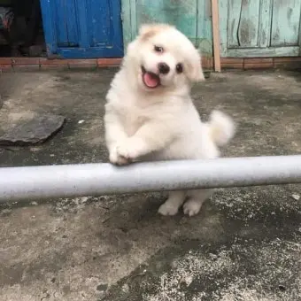 Profile image of 리레볼루션