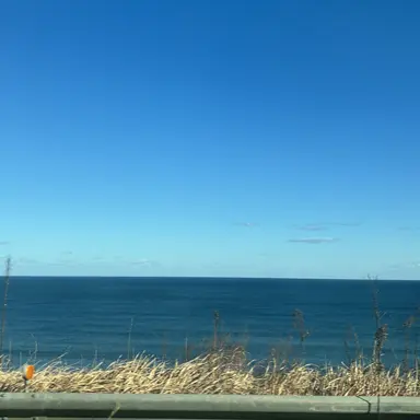 Profile image of トレーナー