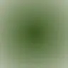 Profile image of 모리모토 신타로