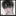 김 윤 석