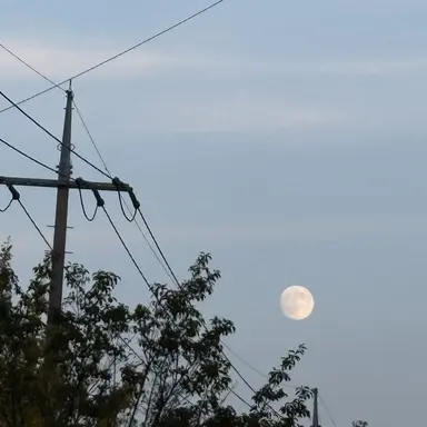 Profile image of 멍재현