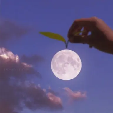 Profile image of 밥풀