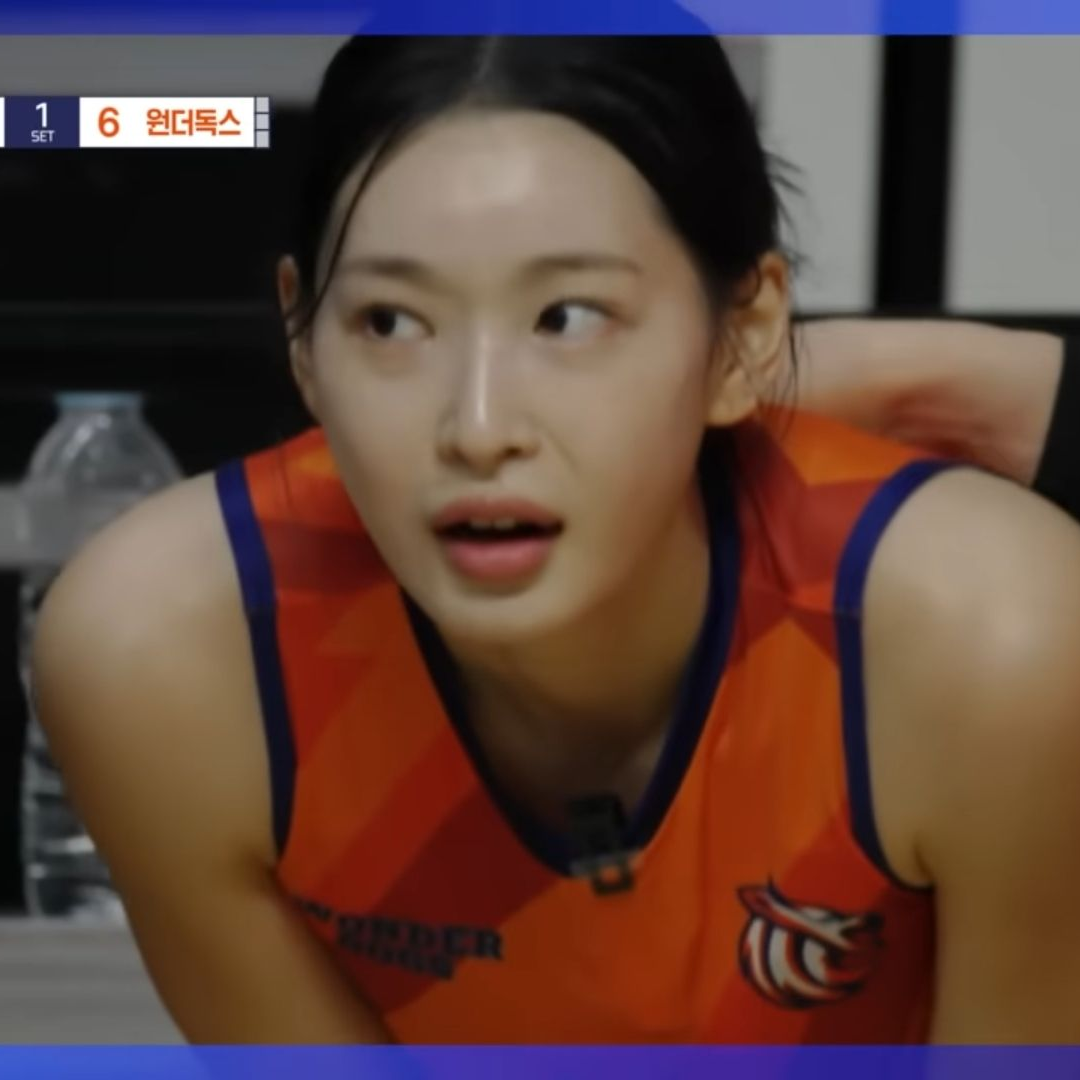 배구 대표 이미지