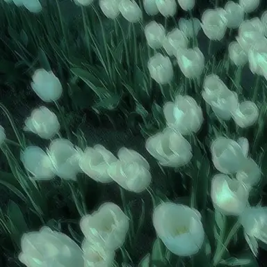 Profile image of 정 형준