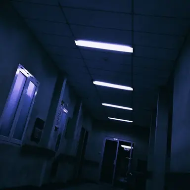 Profile image of 사원현