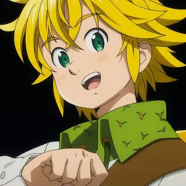 Profile image of メリオダス