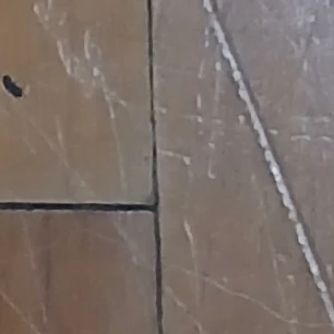 ㅅㅎㅇ