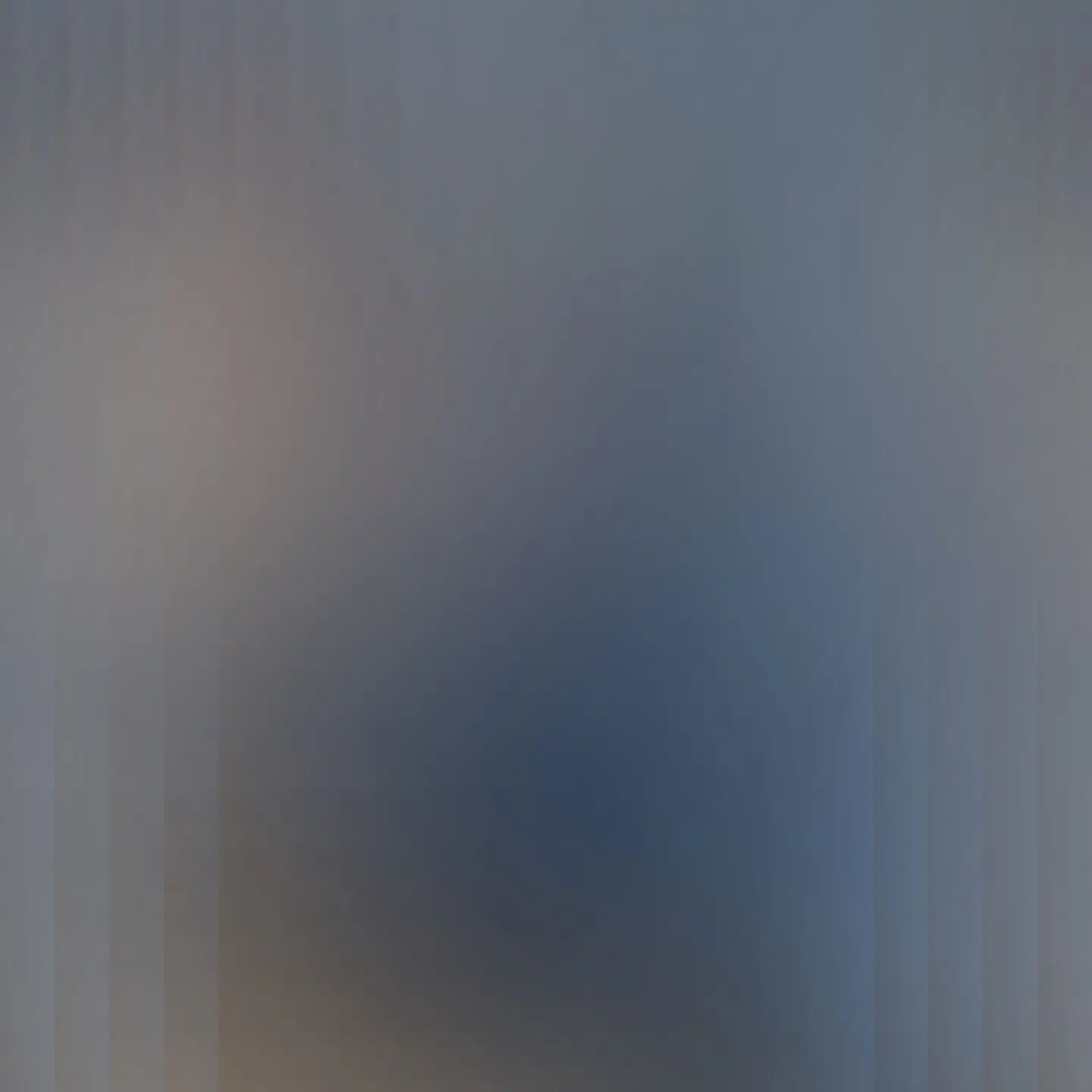 ClumsyFly2958의 김수정