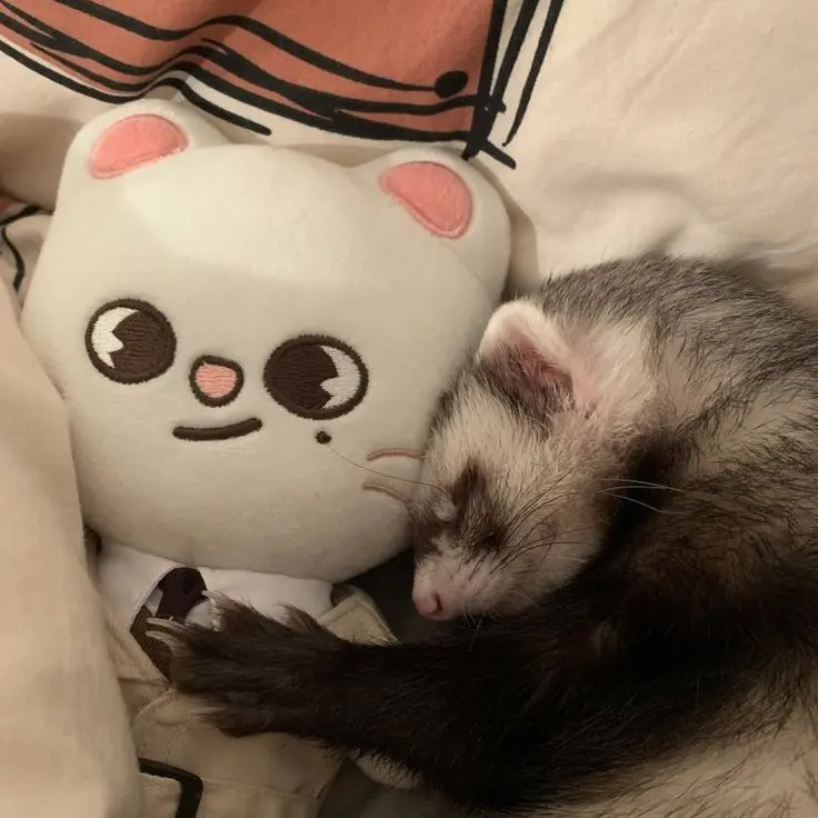 1_hx.n의 황현진