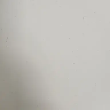 Profile image of 공룡