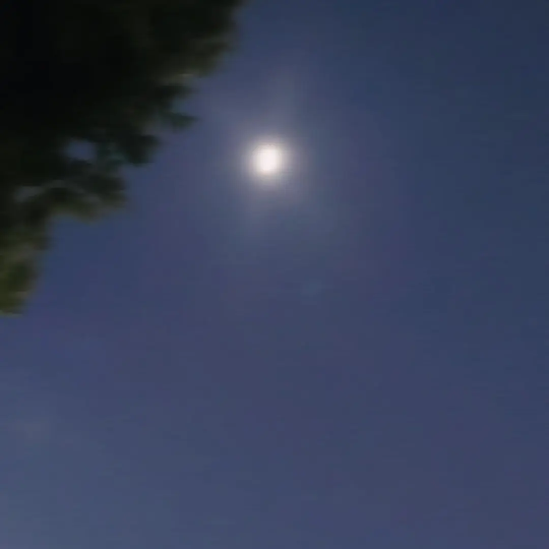 Ree1107의 いぇっぴー