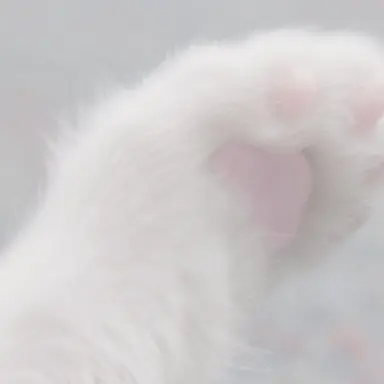 Profile image of 마로