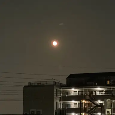 Profile image of アンダーテール組