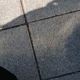 FieryMink1157의 대저택