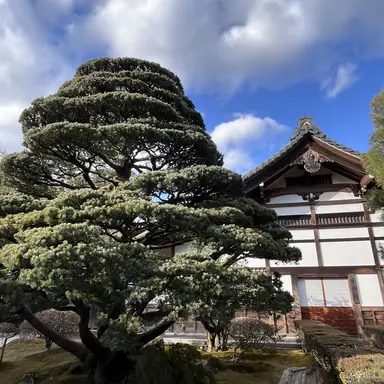 Profile image of 최수현