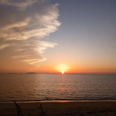 Profile image of 덕개