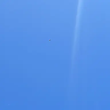 Profile image of 수현