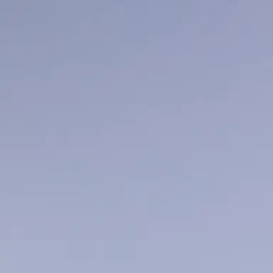 Profile image of 공룡