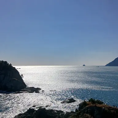 Profile image of 라더