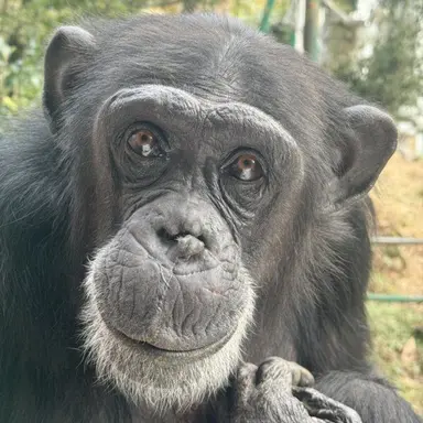 Profile image of 蟹工船の先輩