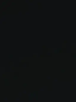 ighnv의 조우안신