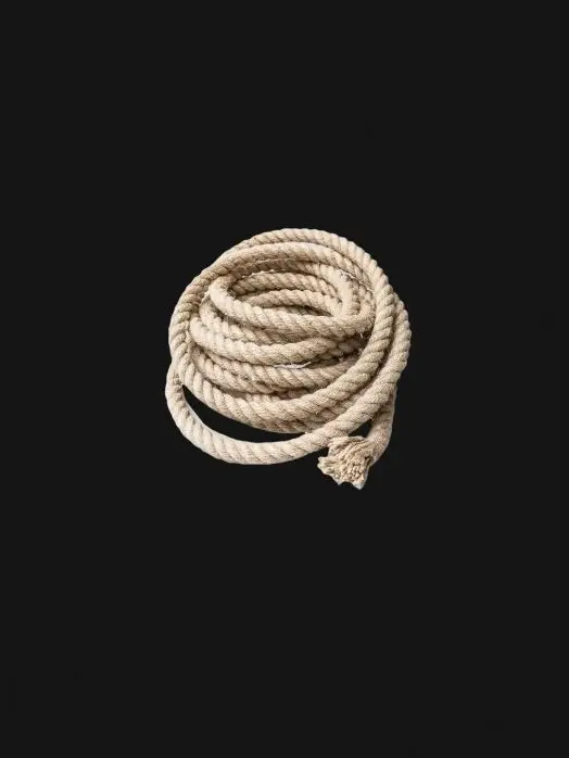 S.D.G의 독설을 전공함