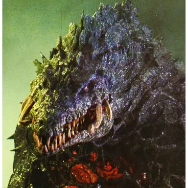 Profile image of 비올란테