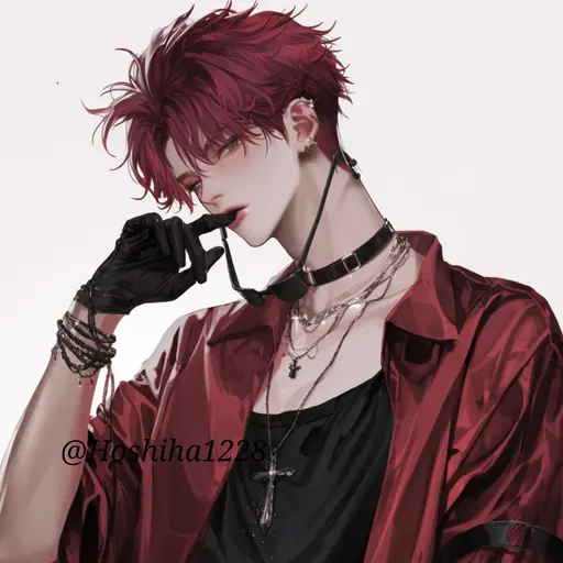 Hoshina1228의 유성혁