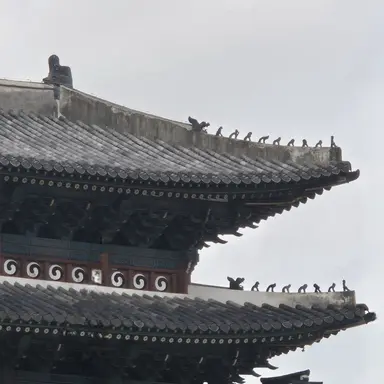 Profile image of 주청우