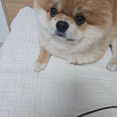 Profile image of 하늘