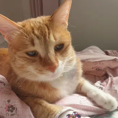 Profile image of 김유준