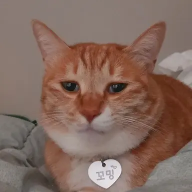 Profile image of 강찬