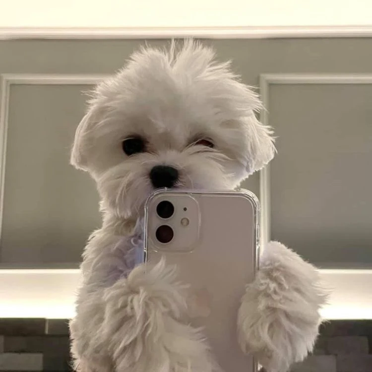 케데헌