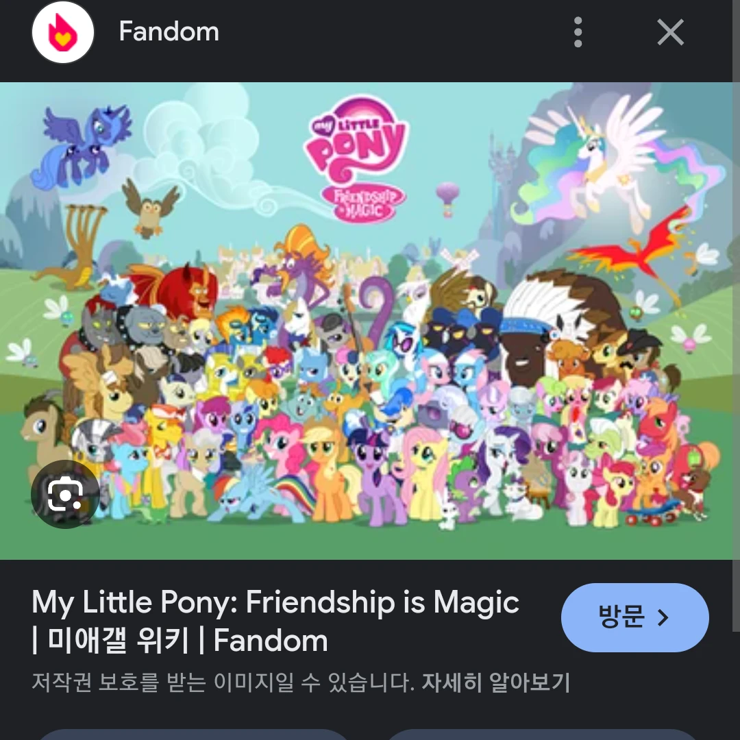 포니세계 포니들에