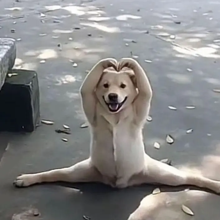 jpoo.ky의 사이먼 라일리